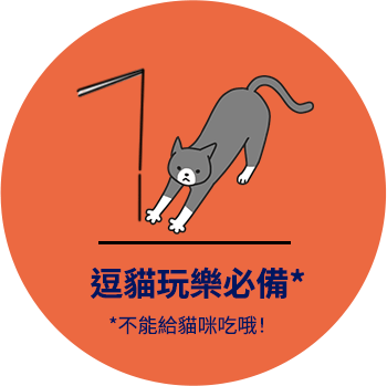 逗貓玩樂必備